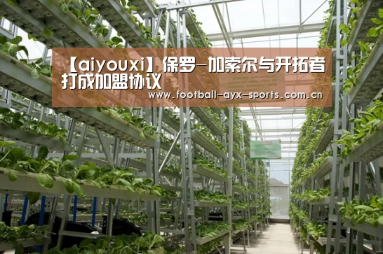 【aiyouxi】保罗-加索尔与开拓者打成加盟协议(图1) 爱游戏中国官网