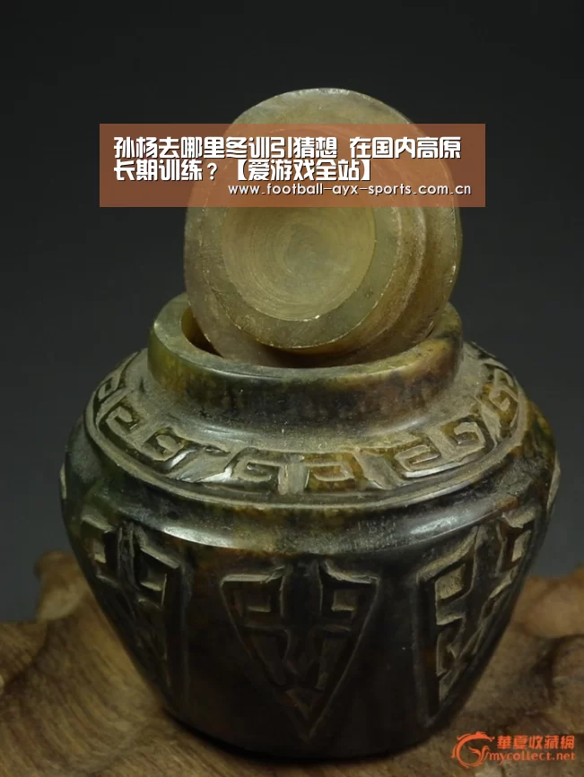 孙杨去哪里冬训引猜想 在国内高原长期训练?【爱游戏全站】(图1) 爱游戏全站